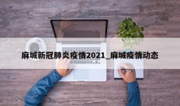 麻城新冠肺炎疫情2021_麻城疫情动态