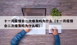 十一月疫情会二次爆发吗为什么（十一月疫情会二次爆发吗为什么呢）