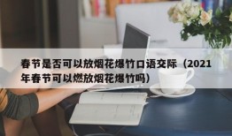 春节是否可以放烟花爆竹口语交际（2021年春节可以燃放烟花爆竹吗）