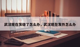 武汉现在发烧了怎么办，武汉现在发热怎么办