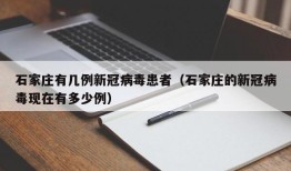 石家庄有几例新冠病毒患者（石家庄的新冠病毒现在有多少例）