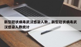 新型冠状病毒武汉感染人数，新型冠状病毒武汉感染人数统计