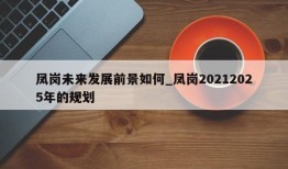 凤岗未来发展前景如何_凤岗20212025年的规划