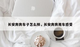 长安奔奔车子怎么样，长安奔奔用车感受