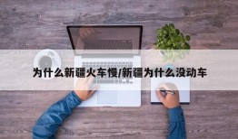 为什么新疆火车慢/新疆为什么没动车
