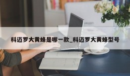 科迈罗大黄蜂是哪一款_科迈罗大黄蜂型号