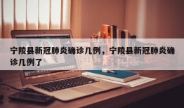 宁陵县新冠肺炎确诊几例，宁陵县新冠肺炎确诊几例了