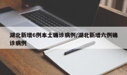 湖北新增6例本土确诊病例/湖北新增六例确诊病例