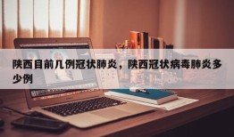 陕西目前几例冠状肺炎，陕西冠状病毒肺炎多少例