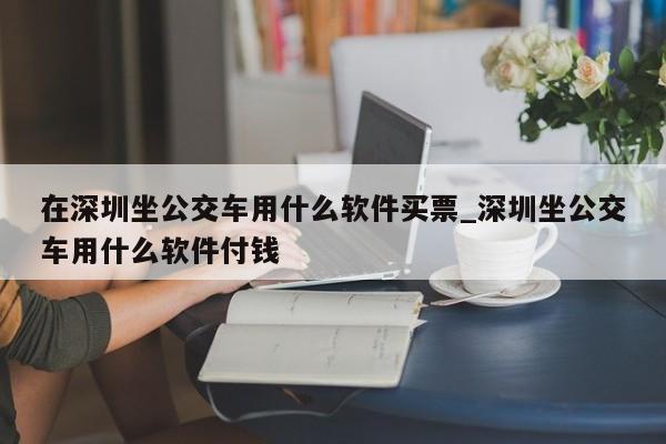 在深圳坐公交车用什么软件买票_深圳坐公交车用什么软件付钱