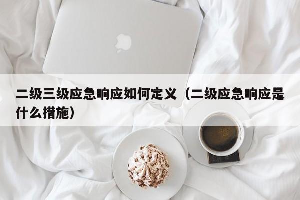 二级三级应急响应如何定义(二级应急响应是什么措施)