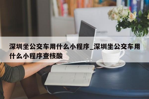 深圳坐公交车用什么小程序_深圳坐公交车用什么小程序查核酸